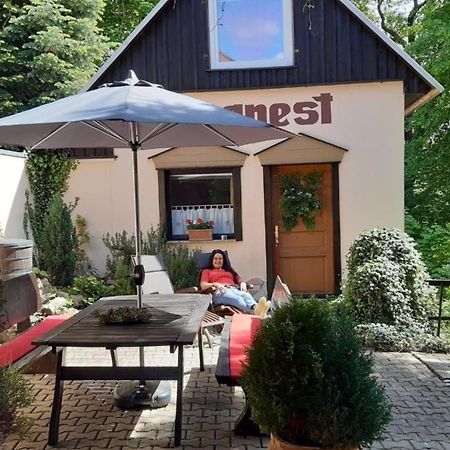 Bergnest Bungalow Bad Gottleuba-Berggiesshuebel Exterior photo